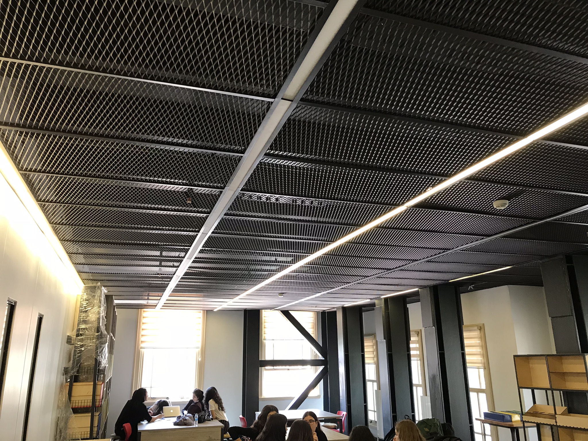 Mesh Tavan Sistemleri