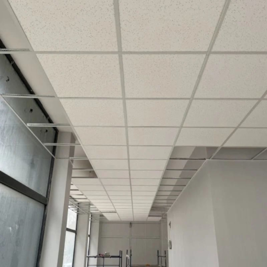 Taşyünü Tavan Sistemleri